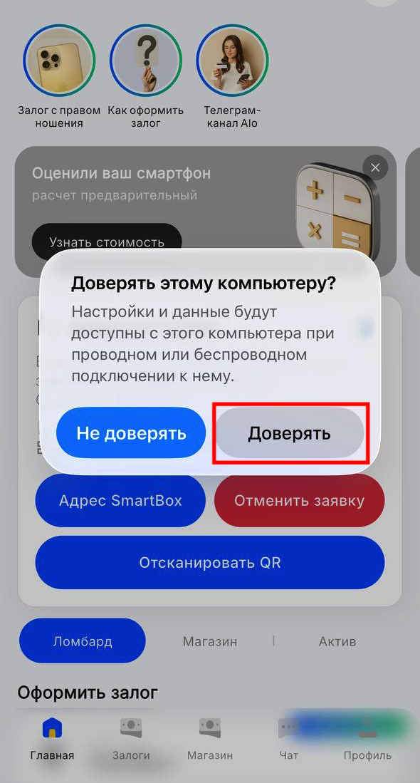 Системный запрос iOS «Доверять этому компьютеру?» с кнопкой «Доверять»